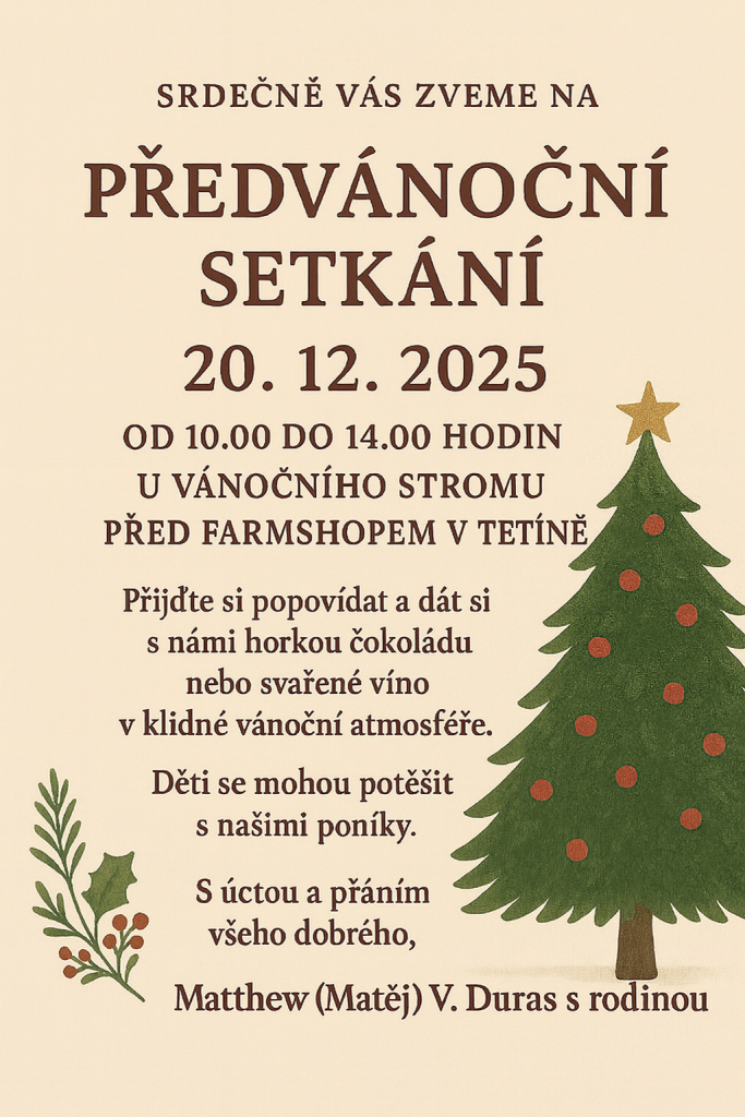 Předvánoční setkání