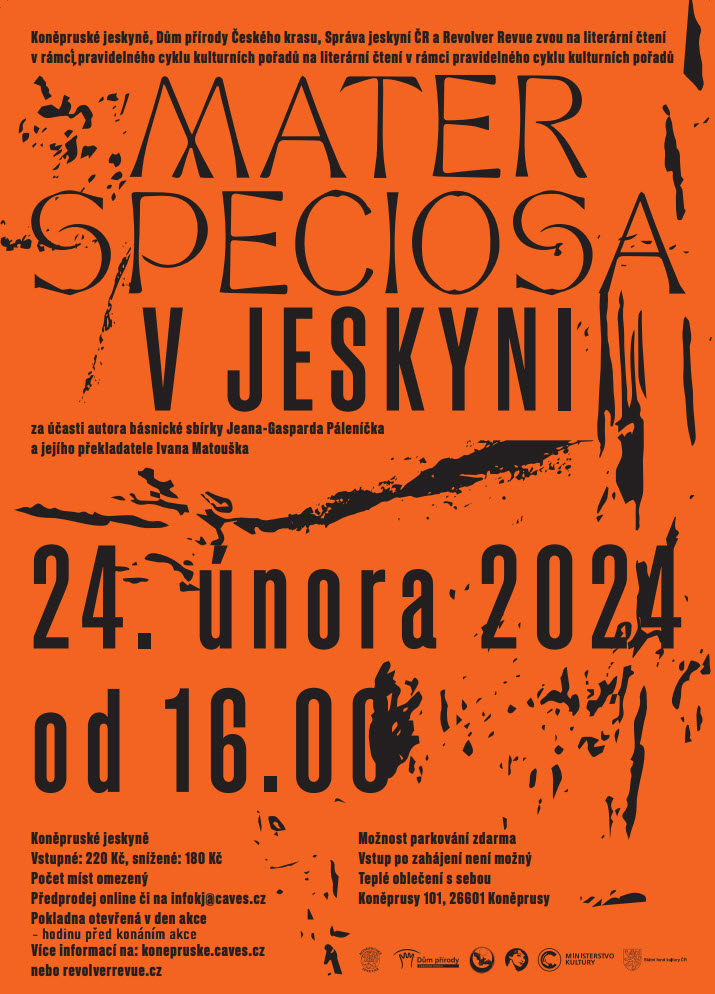 Mater speciosa v&nbsp;jeskyni
