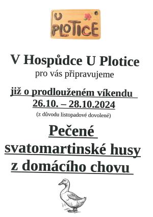 Svatomartinské husy